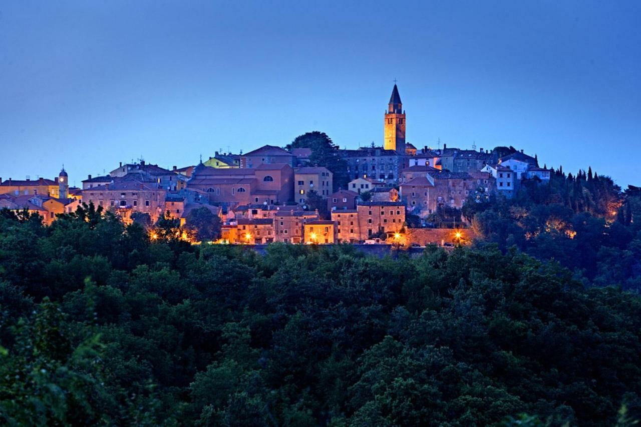 Villa Labin In Zartinj - Luxury Privacy Heated Pool With Auto Cover Labin (Istria) Exterior foto