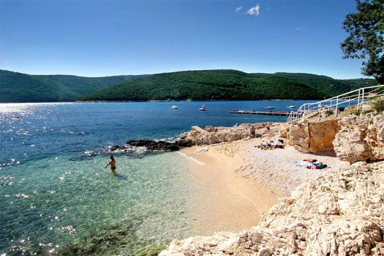 Villa Labin In Zartinj - Luxury Privacy Heated Pool With Auto Cover Labin (Istria) Exterior foto
